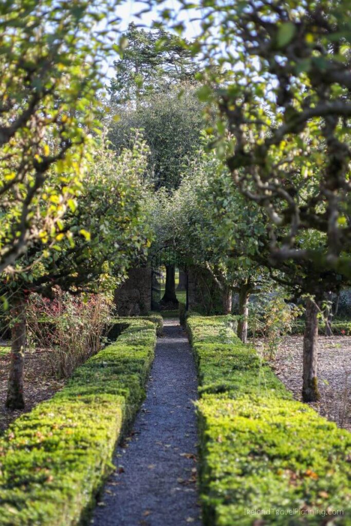 Garden path with hedges in Dublin, a free thing to do.