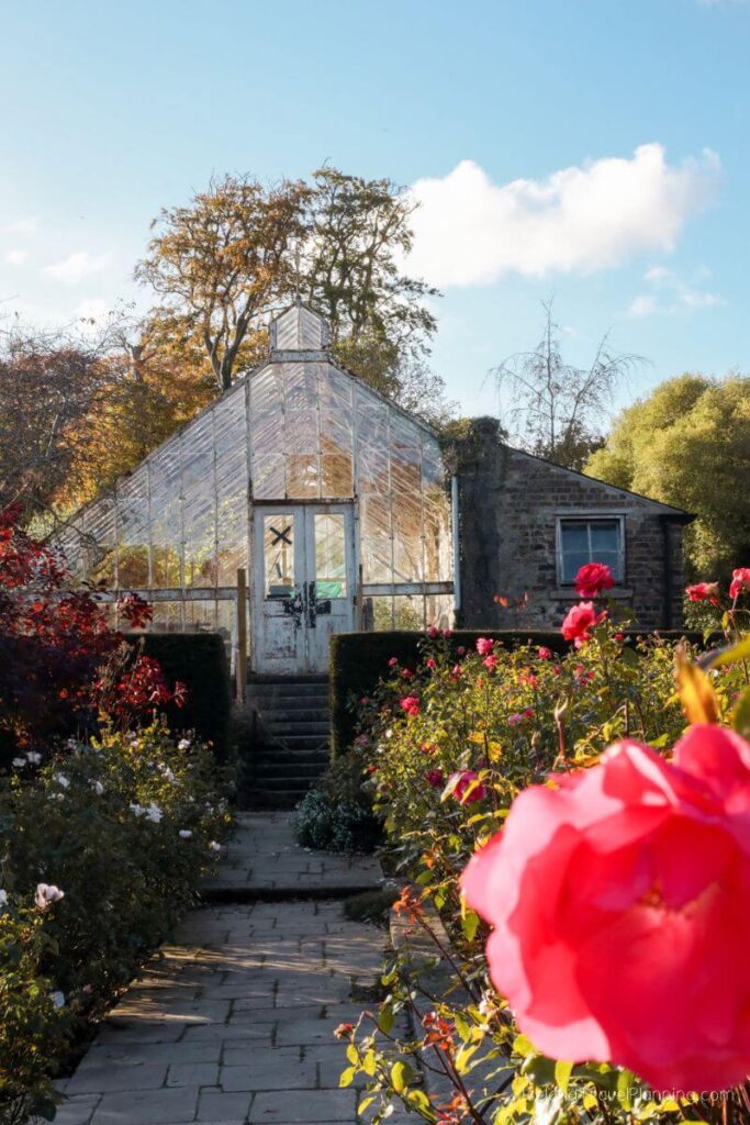 Victorian greenhouse and rose garden, a free thing to do in Dublin.