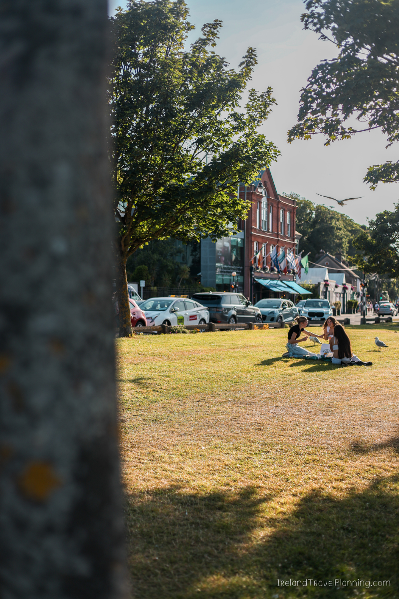 Two friends enjoying a picnic in a park in Dublin, a free activity.