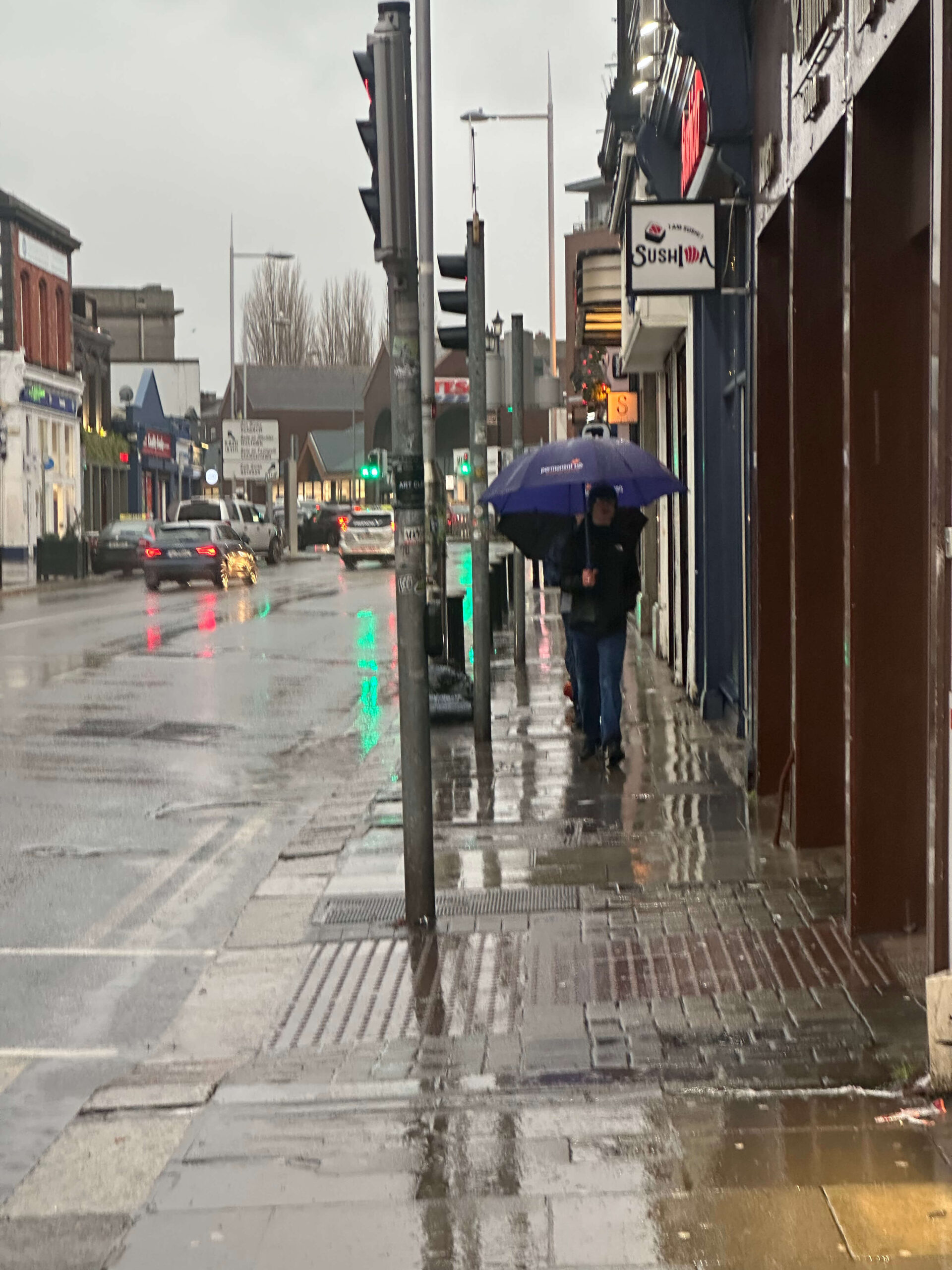 Rainy Dublin street with people holding umbrellas, reflecting traffic lights.