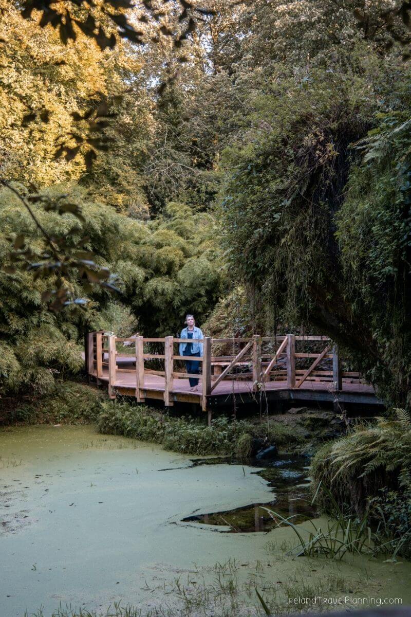 Woman on wooden bridge over water with lush greenery in Cork