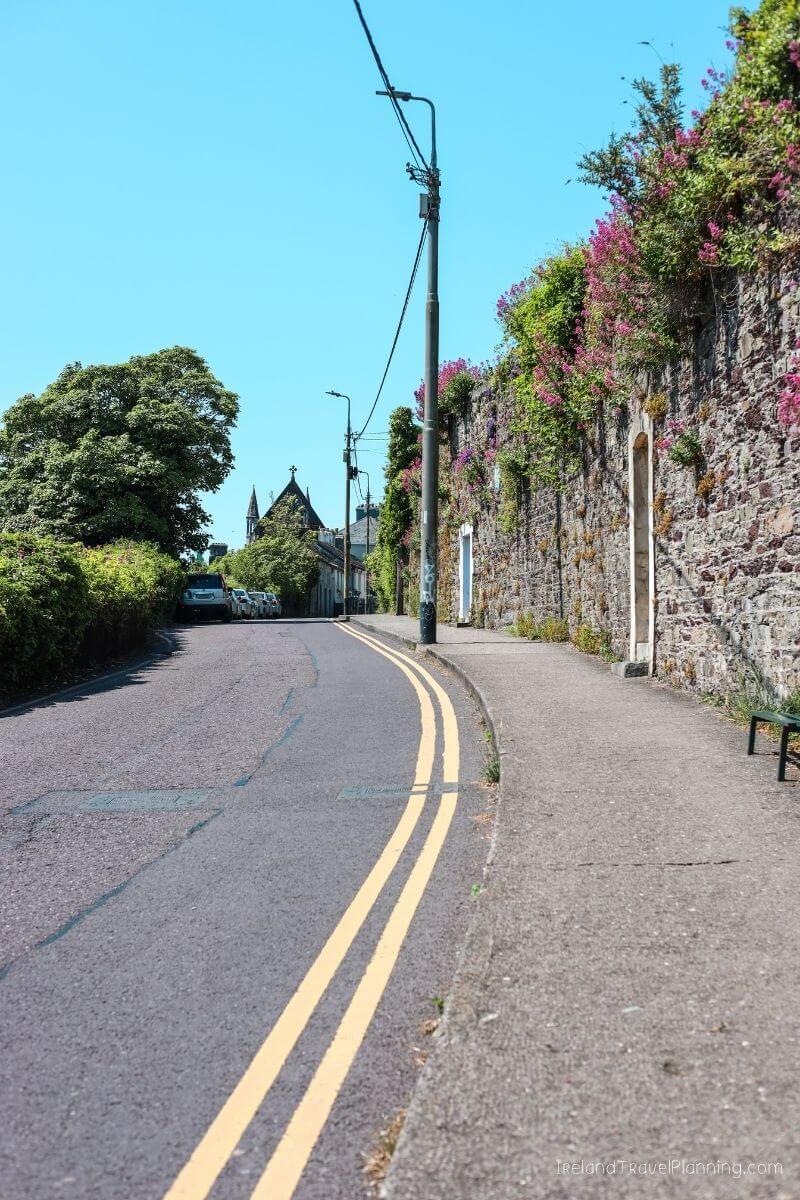 Cobblestone street with stone wall and pink flowers in Cork City