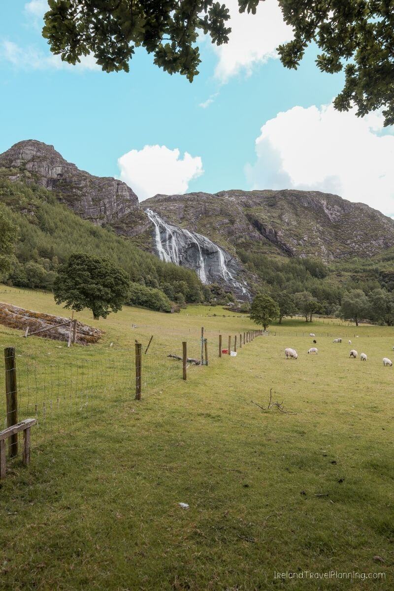 Sheep grazing in a green field with a stunning waterfall cascading down a rocky mountain in Ireland.