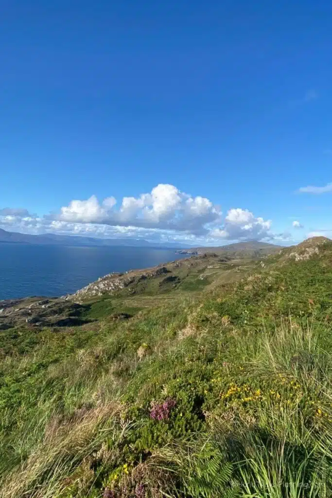 Panorama of lush green hillside with ocean and mountains in background