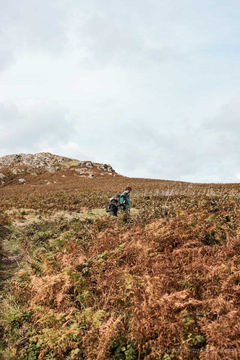 Hiking Ireland's hidden gems with backpack in heather landscape