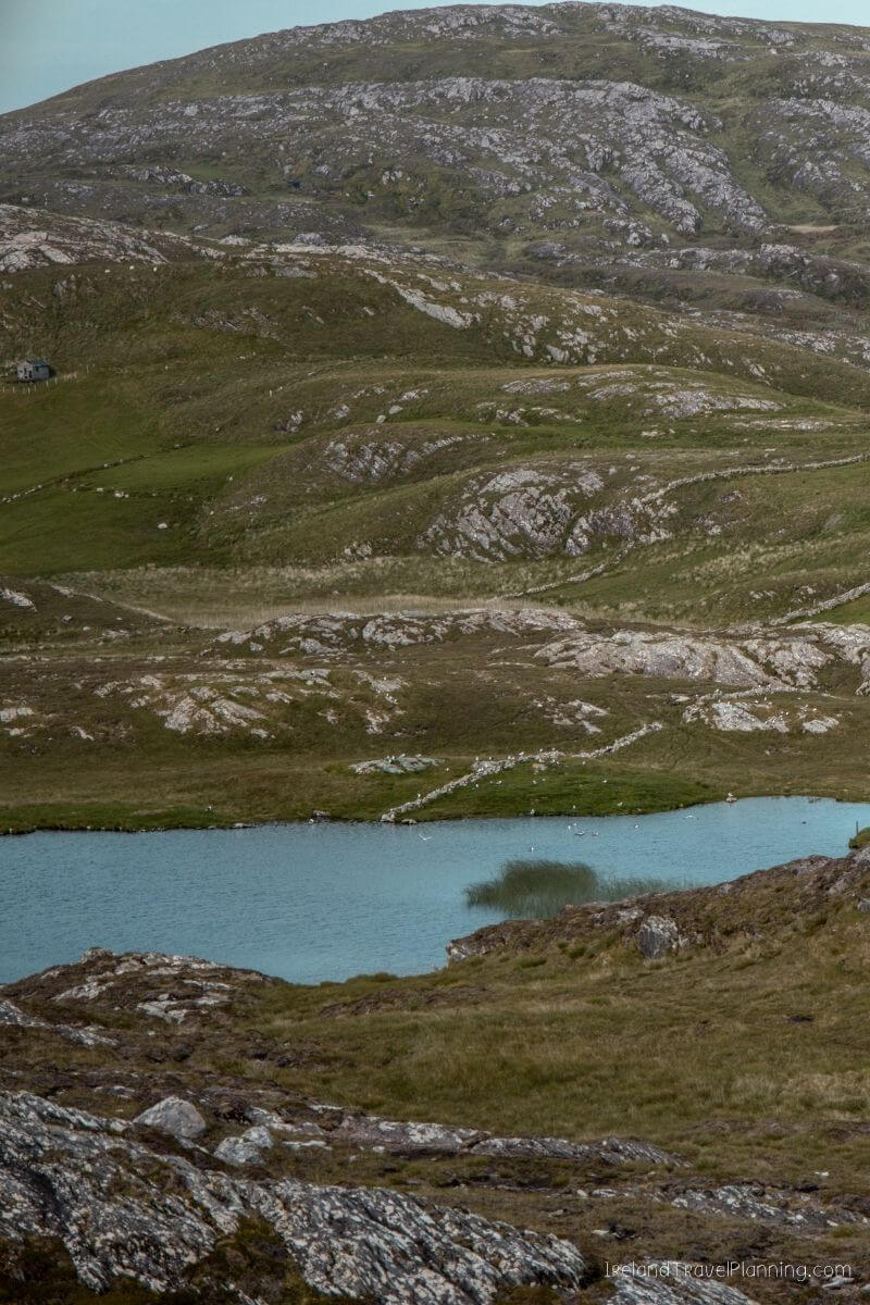 Mountainous landscape with a lake and green grass in Iceland