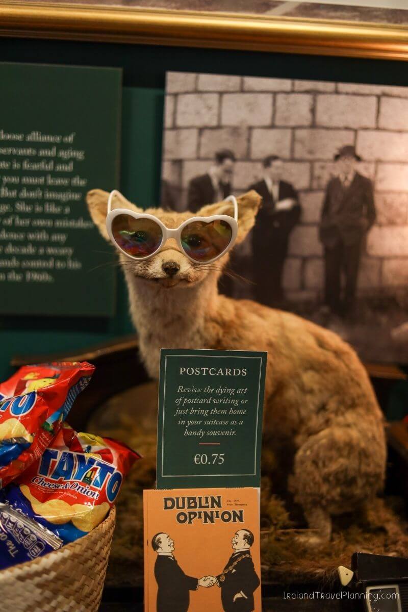 Taxidermied fox wearing sunglasses with Dublin Opinion postcards and snacks