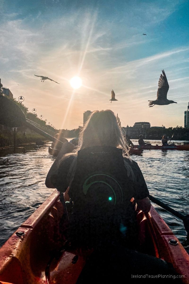 Kayaking in Ireland at sunset with seagulls flying overhead.
