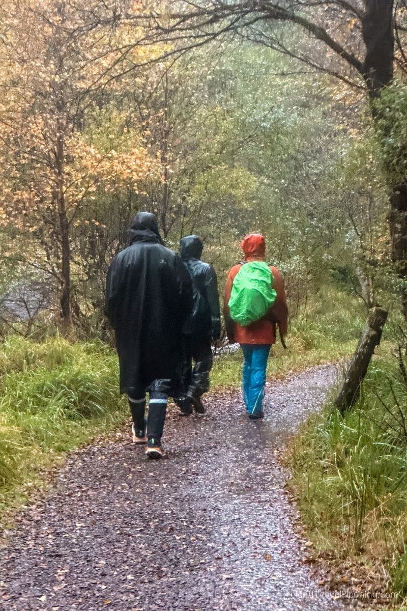 Three hikers in raincoats walk on a wet gravel path through a forest.