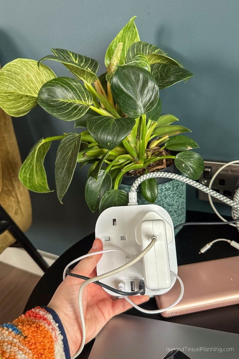 White travel power adapter with USB ports and cables plugged in, next to a houseplant.