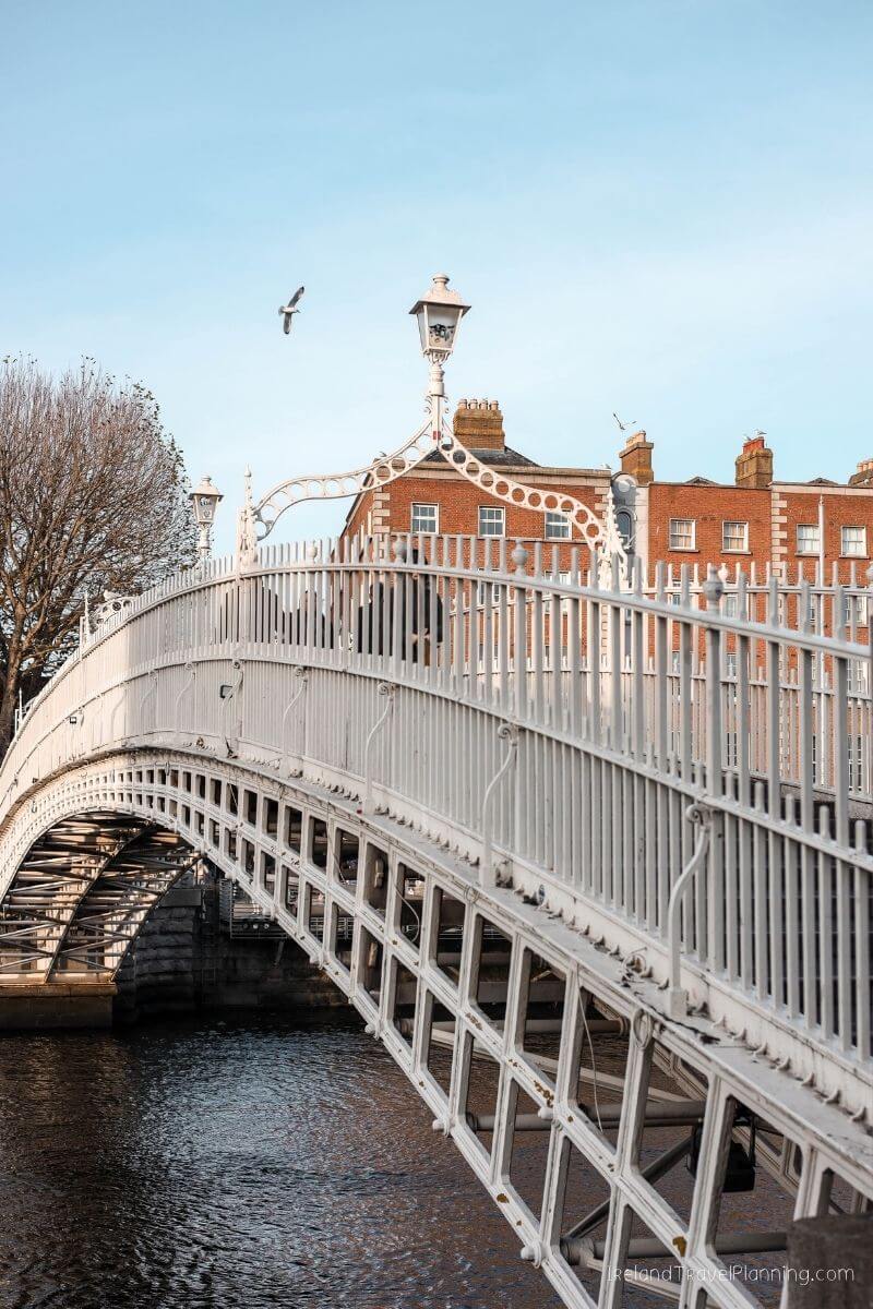 Ha'penny Bridge, Dublin, with a bird flying overhead and brick buildings in the background.