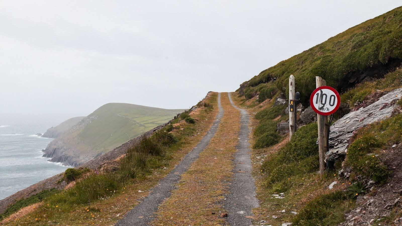 Irish country road with 100 km/h speed limit sign